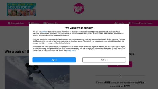 Bolle Torus Ski Goggles