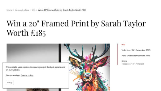 Framed Fine Art Print Of A Stag