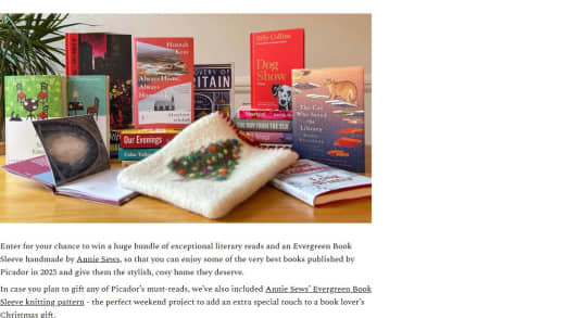 Literary Book Bundle and Custom Book Sleeve