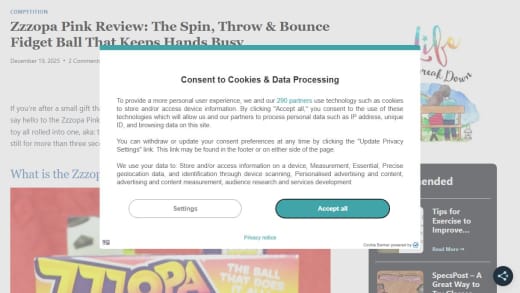 Zzzopa Pink Fidget Ball Toy