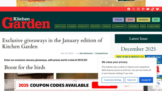 Winter Bird Care Bundle