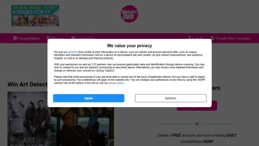 Art Detectives DVD Copy