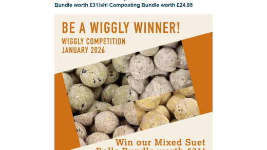 Mixed Suet Balls Bundle
