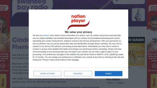 Family Ticket to Cinderella Pantomime