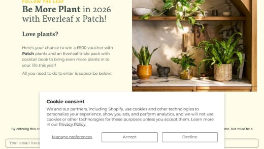 Patch Plants Voucher And Everleaf Aperitifs