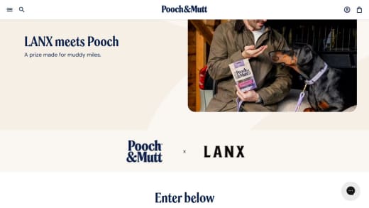 Two Pairs of Shoes and a Year's Supply of Dog Food