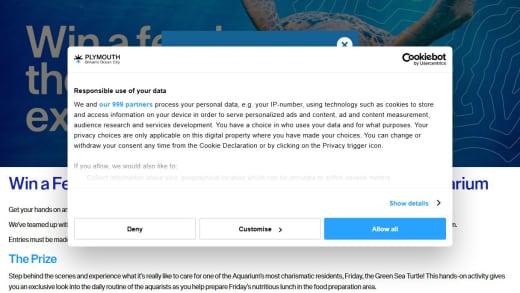 Feed The Turtle Experience For Four People