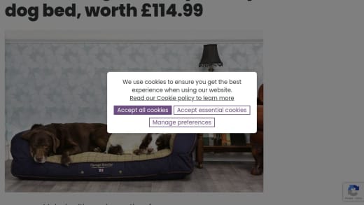 George Barclay Country Large Dog Sofa Bed