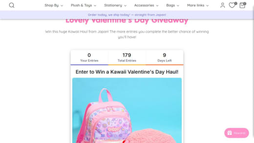 Kawaii Valentine's Day Haul