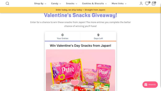 Japanese Snacks Bundle