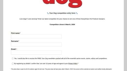 Noseypaws Pet Products Hamper