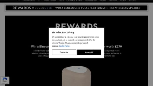 Bluesound Pulse Flex Hi-Res Wireless Speaker