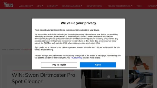 Swan Dirtmaster Pro Spot Cleaner