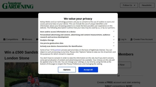 Sandstone Paving Circle