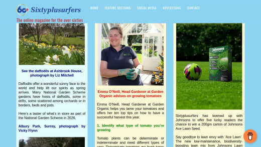 Johnsons Ace Lawn Seed