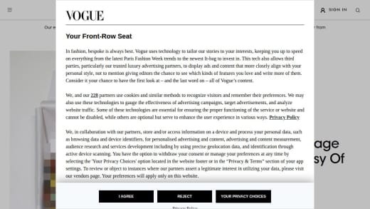 Luxury Vintage Handbag