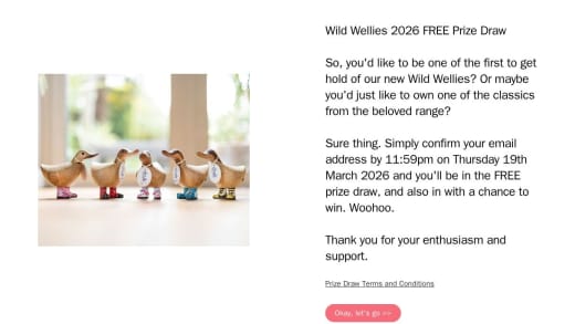 Wild Welly Ducky Characters Collection