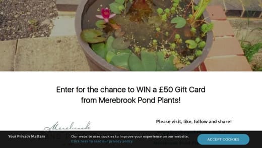 Merebrook Pond Plants Gift Card