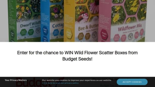 Wild Flower Scatter Boxes