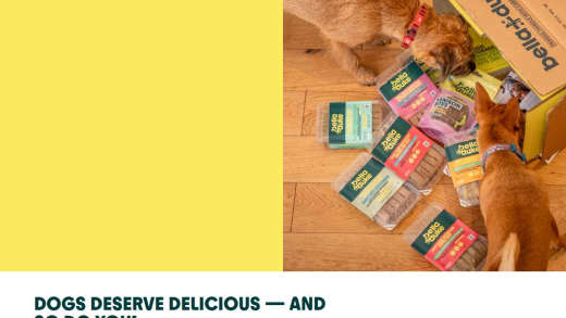 Dog Food Subscription, Hamper, and Event Tickets