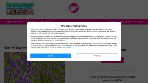 Lavender Plug Plants Collection