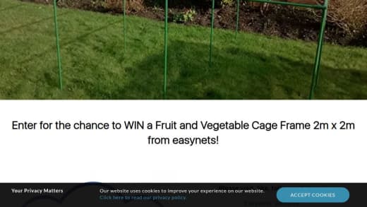 Fruit And Vegetable Cage Frame