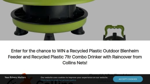 Outdoor Feeder and Drinker Combo