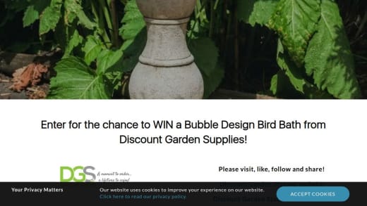 Bubble Design Bird Bath