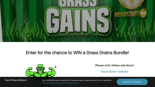 Grass Grains Bundle