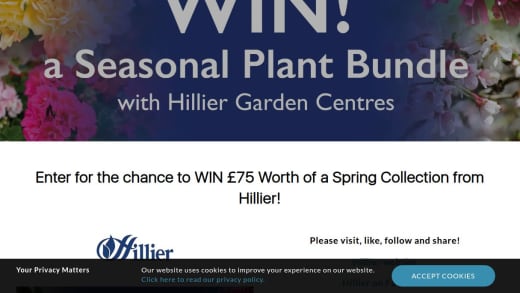 Spring Collection Of Plants