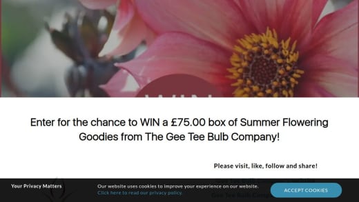 Box Of Summer Flowering Goodies