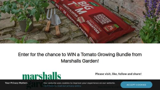 Tomato Growing Bundle