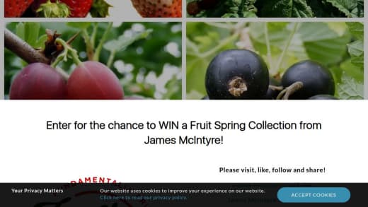 Spring Fruit Plant Collection
