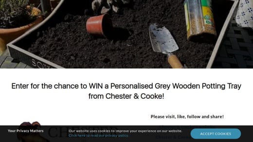 Personalised Wooden Potting Tray