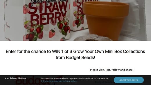 Grow Your Own Mini Box Collection