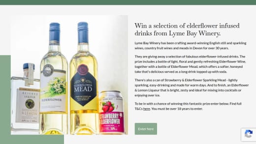 Selection of Elderflower Infused Drinks