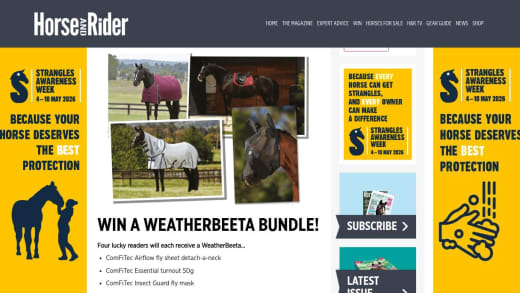 Weatherbeeta Horse Gear Bundle