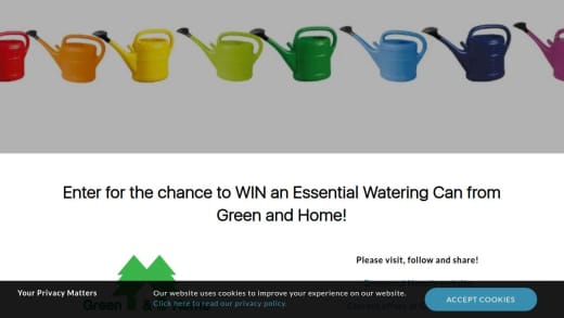 Essential Watering Can