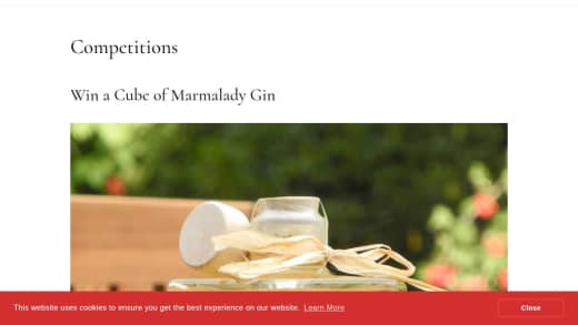 Cube Of Marmalady Gin