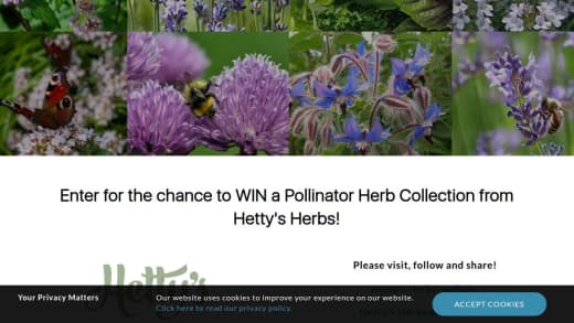 Pollinator Herb Collection