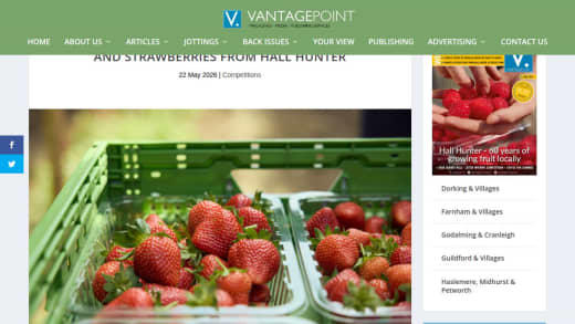 Three Fruit Punnets