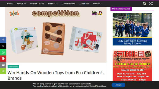 Wooden Toys Bundle