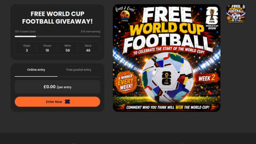 Official FIFA World Cup Football