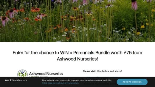Perennials Bundle