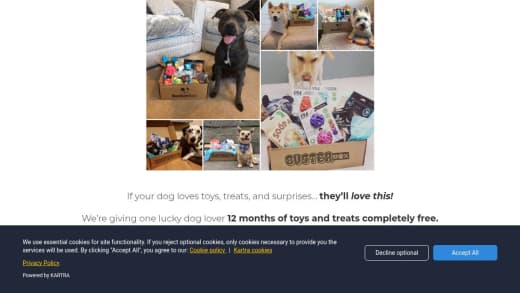 One Year Supply of Dog Treats and Toys