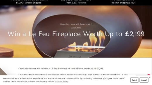 Le Feu Fireplace