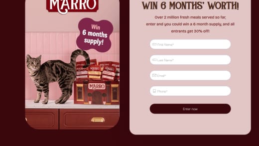 Six Month Supply Of Cat Food
