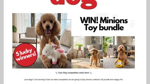 Minions Toy Bundle For Dog