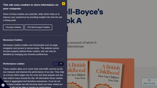 A British Childhood: How Our Children Live Now Book