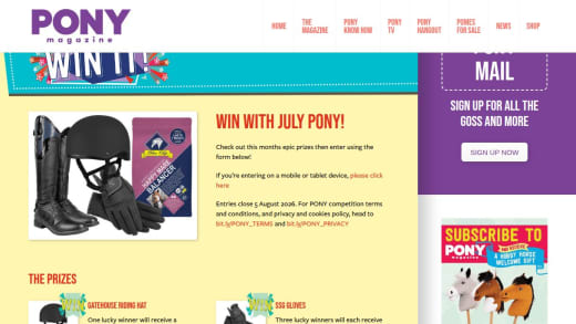 Equestrian Gear Bundle